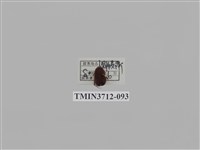 藏品(金龜子科)的圖片